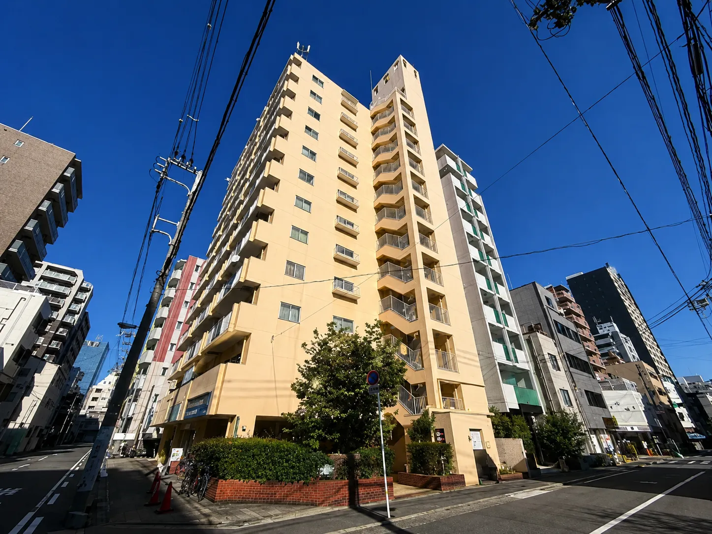 ストーク天神ハイム